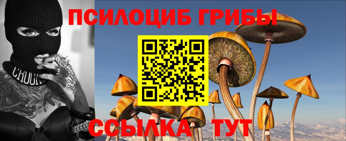 Псилоцибиновые грибы Cubensis Белово